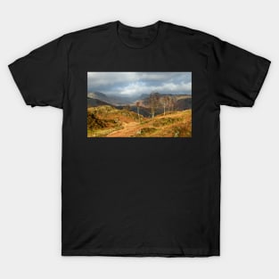 Silver Birches of Holme Fell T-Shirt